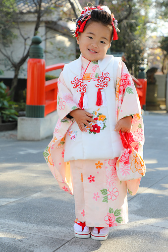 Shichigosan with Nihongami.
Shichigosan which is A 3-year-old Japanese girl has life events to pray for her health wearing a kimono.