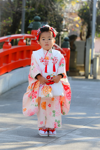 Shichigosan with Nihongami.\nShichigosan which is A 3-year-old Japanese girl has life events to pray for her health wearing a kimono.