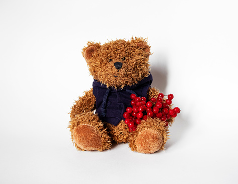 a cute baby soft toy teddy bear with viburnum berries sitting isolated on a white background