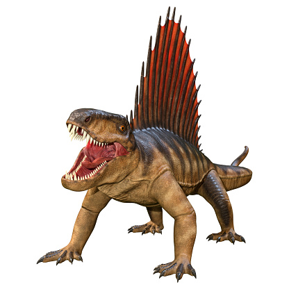 3D rendering of a dinosaur Dimetrodon isolated on white background