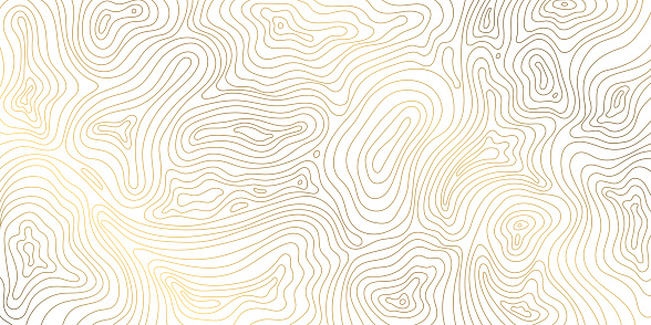 Vector line contour map texture, typography abstract pattern, golden mountain landscape grid.