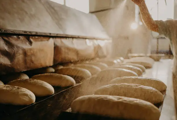 Baked Breads on the production line at the bakery