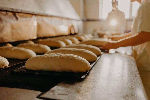 istock Bread bakery food factory. White bread. loaf 1919483231