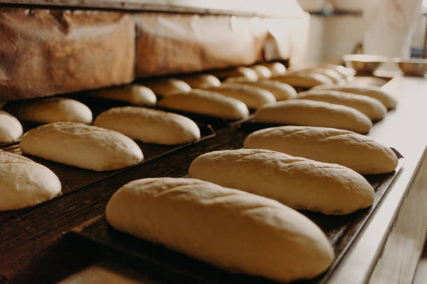 istock Baked Breads on the production line at the bakery 1919483234