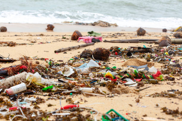 Garbage on sea beach, dirty ocean water, environmental pollution, ecological problem, waste management, junk recycle, unsorted rubbish, plastic bag, glass bottle, metal can, trash, refuse pile, litter