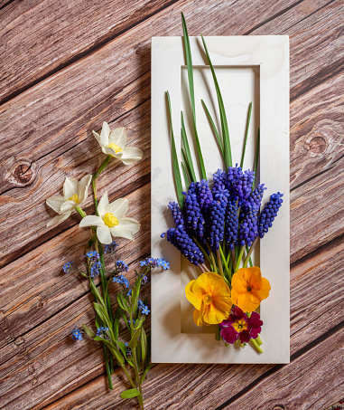 grape hyacinth bouquet with spring flowers on old table