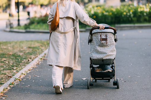 Follow the path of motherhood through the park as a casually dressed mom walks with her baby in the stroller, the rear view revealing the beauty of the shared journey.