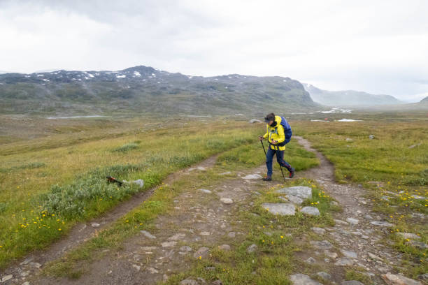 istock Young woman hiking in Sweden 1919501849