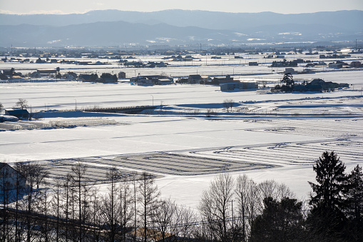 Paddy fields with snow-melting agents