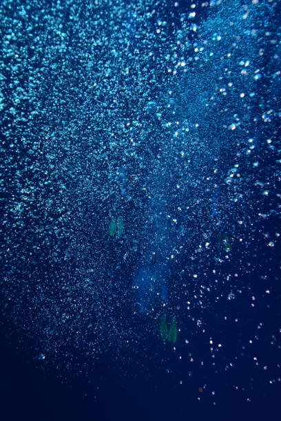 istock Divers waiting at the safety stop. Underwater bubbles, water bubbles. Safety stop while diving. Red Sea, Egypt. 1919507507