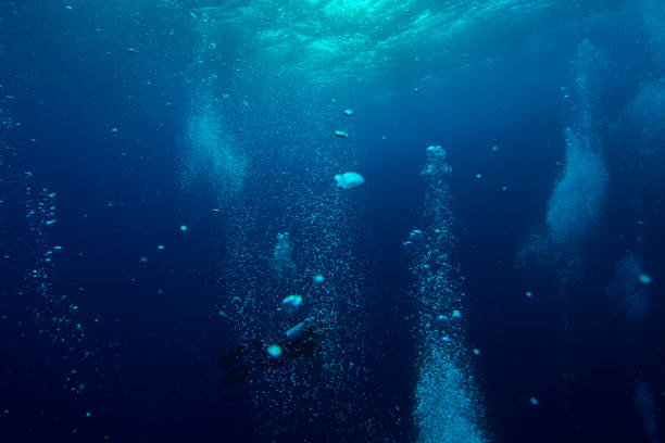 istock Divers waiting at the safety stop. Underwater bubbles, water bubbles. Safety stop while diving. Red Sea, Egypt. 1919507544