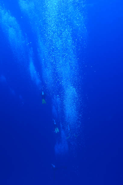 istock Divers waiting at the safety stop. Underwater bubbles, water bubbles. Safety stop while diving. Red Sea, Egypt. 1919508072