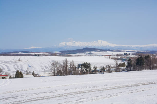 istock Snow fields sprinkled with snow-melting agent and mountains 1919509758