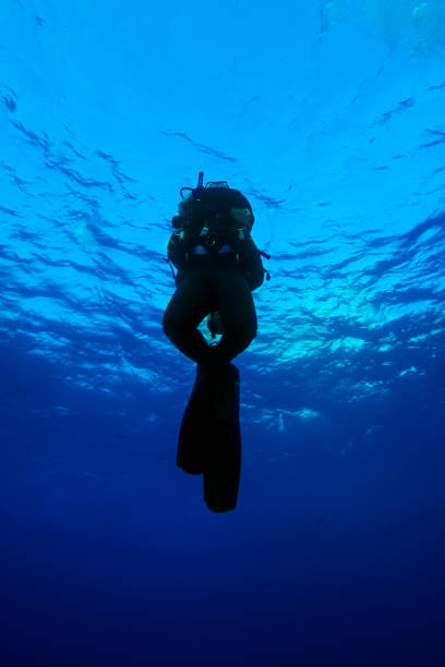 istock Divers waiting at the safety stop. Underwater bubbles, water bubbles. Safety stop while diving. Red Sea, Egypt. 1919513942