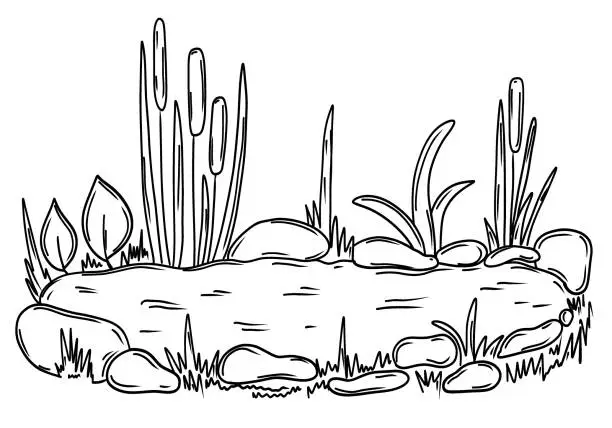 Vector illustration of Pond with reed plant and stones in hand drawn sketch style