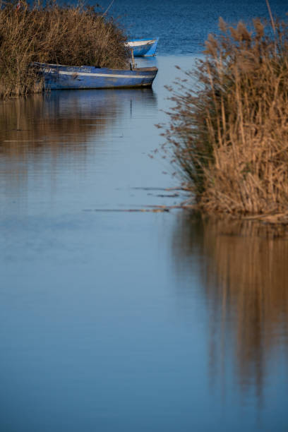 Fishing boat, sea and delta