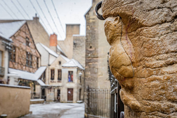 France, Dijon, 09 January 2024, lucky owl watching the snow fall. Maison Milliere and Fallot mustard shop in the background. Photo by Stephane ROUILLARD.