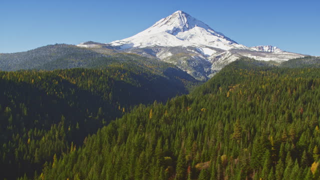 AERIAL Mt. Hood viewed from above the forest trees in sunny Oregon, USA