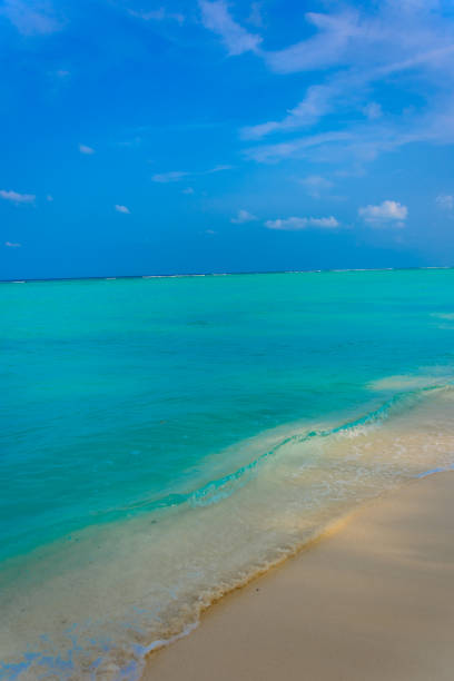 Lakshadweep island sea scape beauty, blue sky background