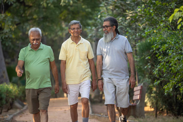 istock Cheerful senior friends walking in park 1919591985