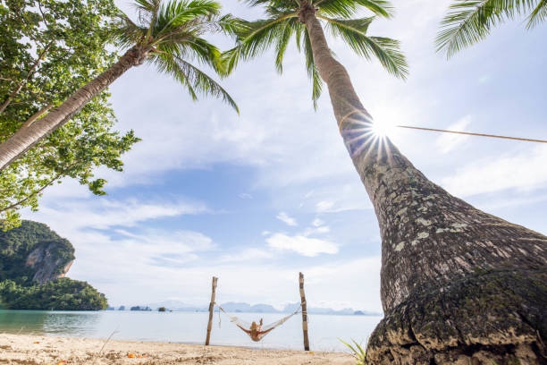istock Woman relaxing on hammock by the beach at sunrise 1919601667