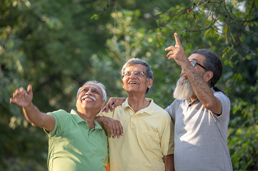 Happy senior male friends with arms raised looking up and laughing cheerfully while standing against trees in park