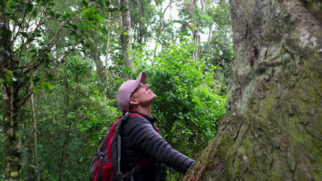 Female nature lover out exploring a tropical forest