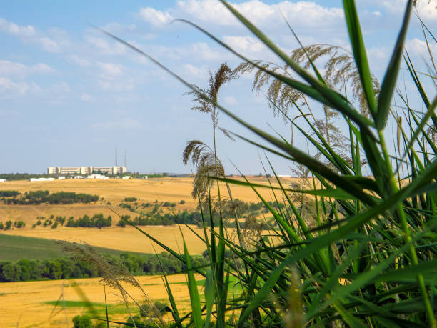 istock World famous Hevsel gardens in Diyarbakir 1919639377