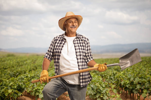 istock Farmer with a straw hat holding a shovel on a field 1919640271