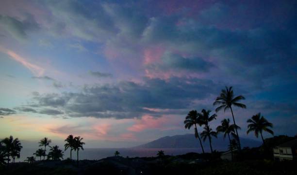 las nubes altas se iluminan de rosa durante la puesta de sol en los cielos de la isla tropical de maui. - hawaii islands polynesian culture hula dancer sunset fotografías e imágenes de stock