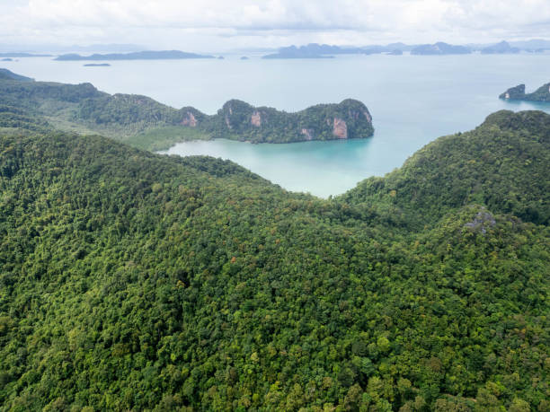 istock Drone view of beautiful bay in Thailand 1919714927