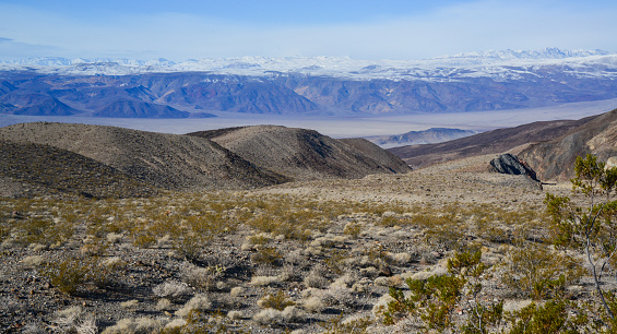 Landscape of a valley overgrown with desert vegetation and cacti in the rock desert in California, mountains in the background