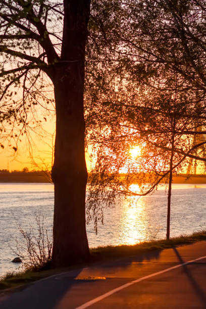 istock Urban landscape during the sunset. 1919723602