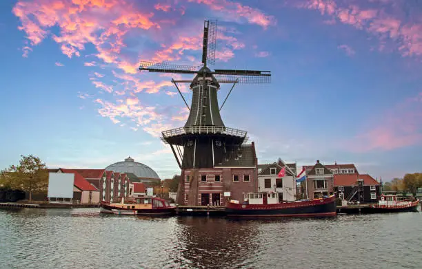 Medieval windmill in Haarlem citycenter in the Netherlands at sunset