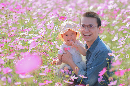 Asian young father hugs his baby girl among cosmos flowers, natural light gives a very warm atmosphere.