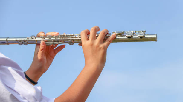istock Music instrument is being played by hands 1919746552