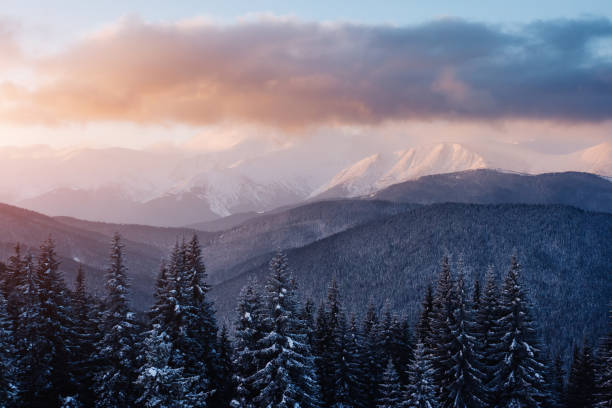 istock Perfect morning moment in alpine highlands. 1919749783