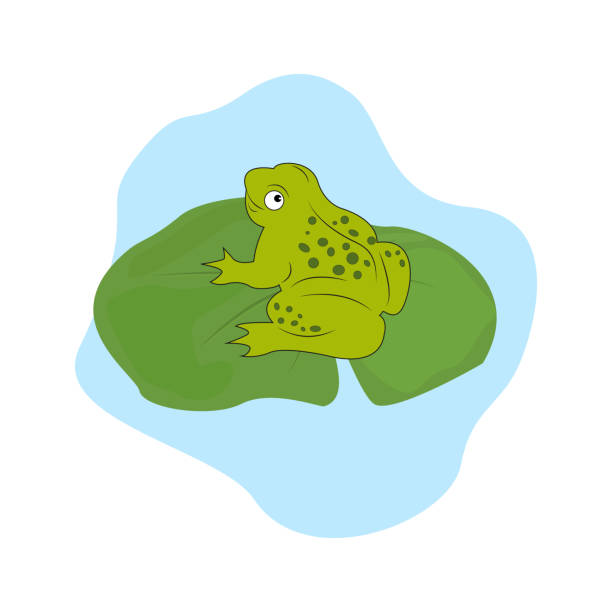 두꺼비. 개구리는 연못, 늪 또는 호수에서 잠자리를 사냥합니다. 수련 풀과 갈대가 있는 배경입니다. 인사말 카드, 포스터, 패치, 옷, 엠블럼에 인쇄물 디자인. 수채화 스타일입니다. - frog jumping pond water lily stock illustrations