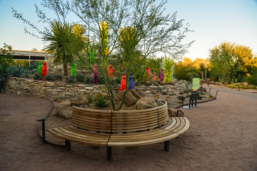 This is a photograph of the nature in the desert landscape of Organ Pipe Cactus National Monument in Arizona, USA on a spring day.