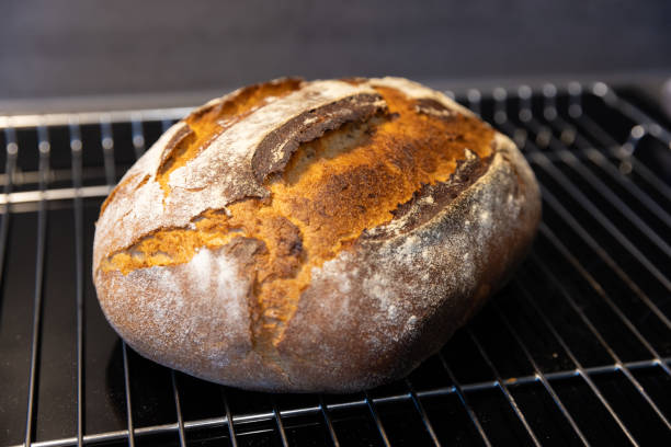 istock freshly baked bread on a cooling rack 1919779822
