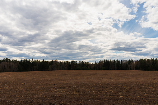 Agricultural rural background early spring landscape.Beautiful white clouds blue sky over the forest in the background. Plowed field in the evening foreground.