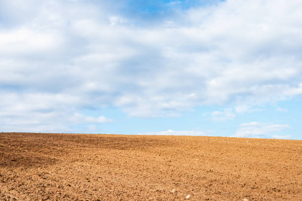 istock Plowed brown field and white clouds on blue sky.cloudy sky over brown field.Spring summer day. 1919801275