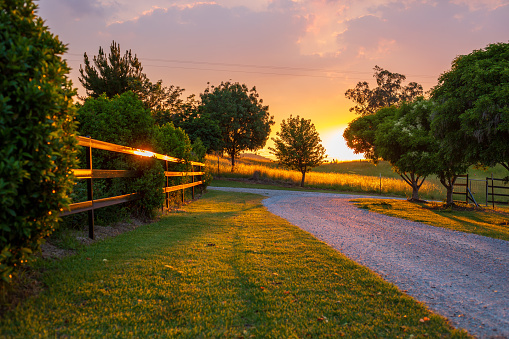 The driveway at a farm during sunset with the light capturing the serenity
