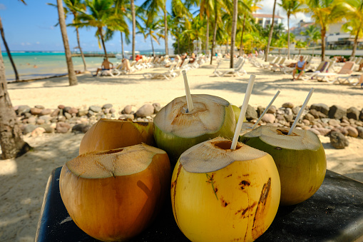 Coconuts with a strw on a beach in jJamaica