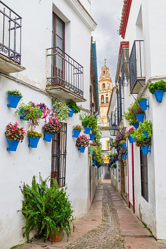 The charming Calleja de las Flores in Cordoba, a narrow alley in the old town with blue flower pots hanging on the white walls