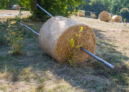 Landscape decoration with straw rolls.