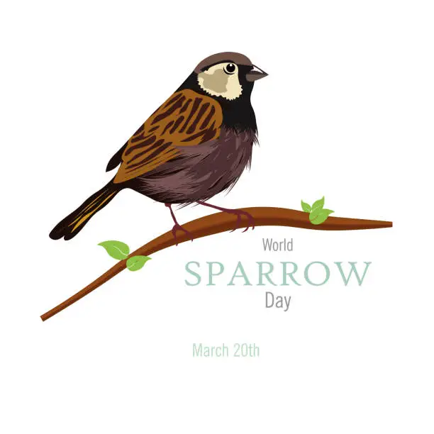 Vector illustration of World Sparrow Day