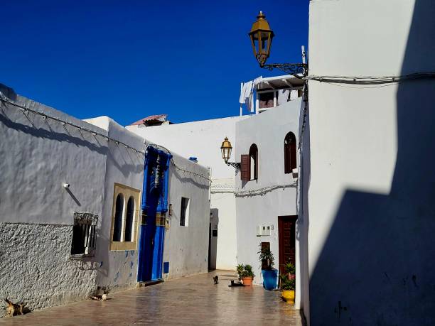 istock Rabat, Kasbah des Oudayas, Morocco 1919854078