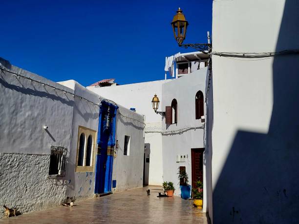 rabat, kasbah des oudayas, morocco - kasbah des oudayas - fotografias e filmes do acervo