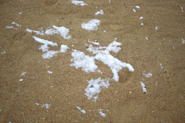 The snow is a bright white color and it covers the ground in a thick layer. The snow is so deep that it almost reaches the ground, creating a beautiful and serene winter landscape